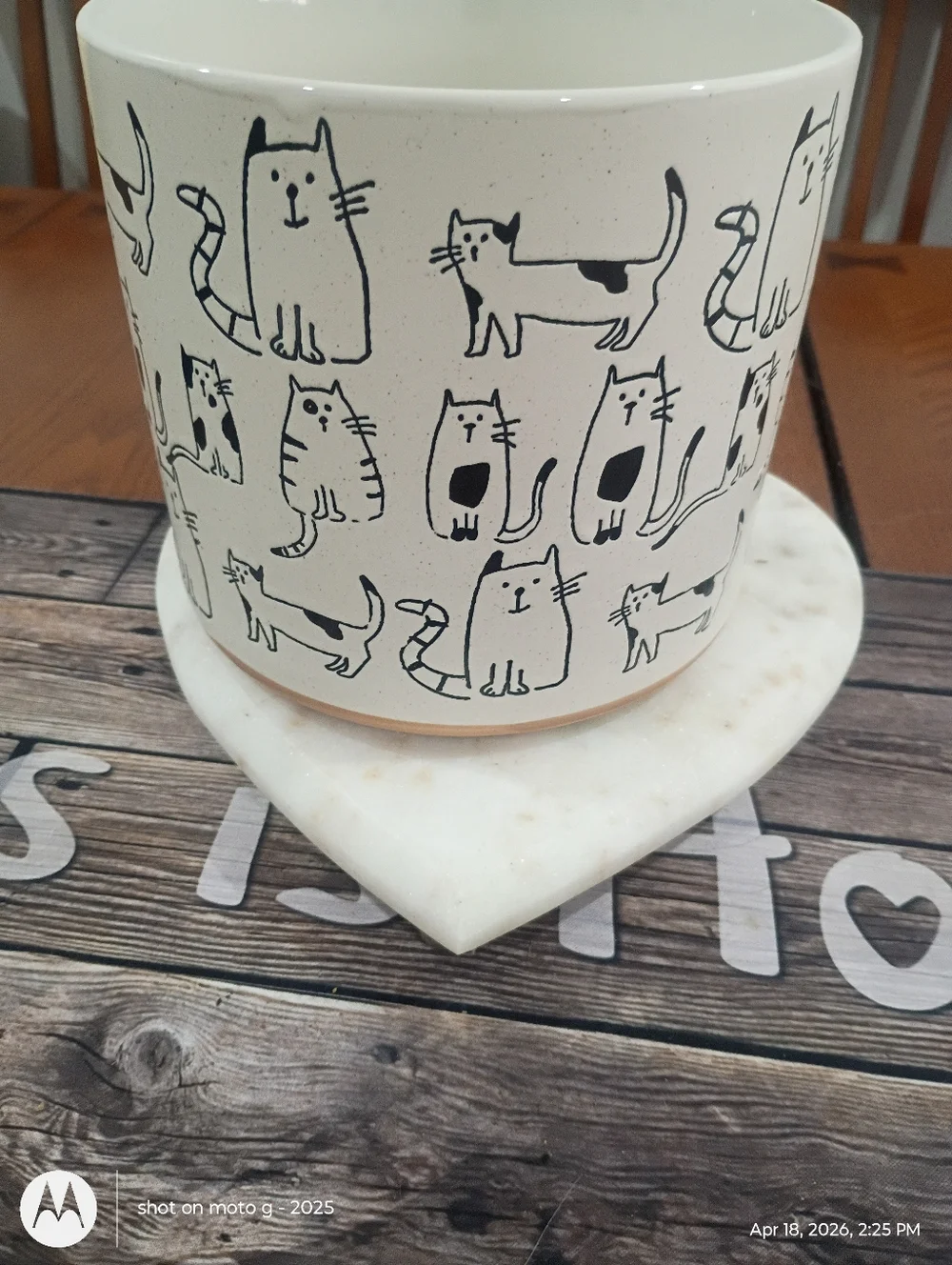 Cat planter All Over Print - Picture 4 of 10